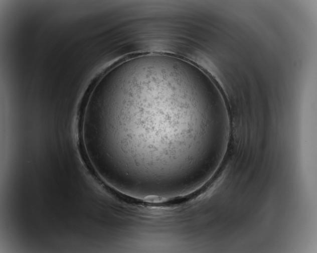 X0000088650987200705251458