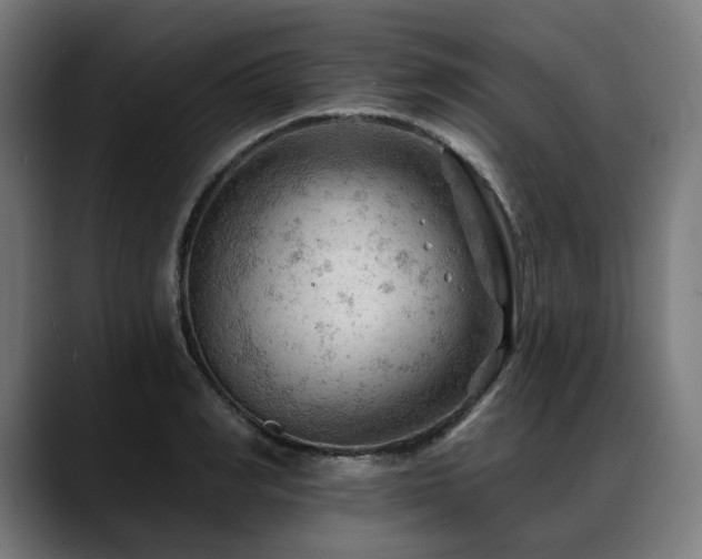 X0000088650990200705251458