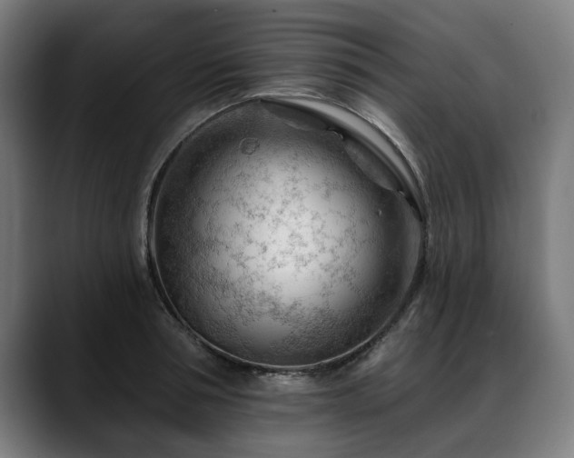 X0000088650994200705251458