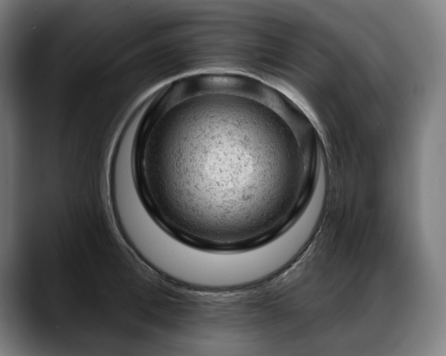 X0000088650996200705251458