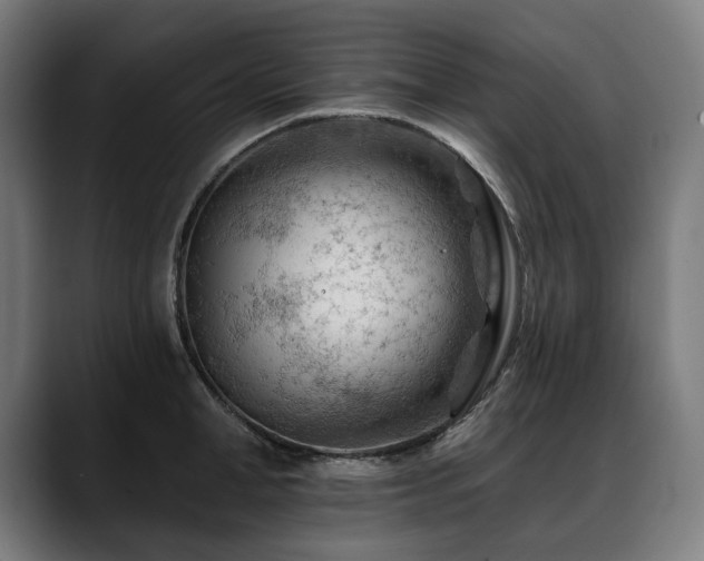 X0000088650998200705251458