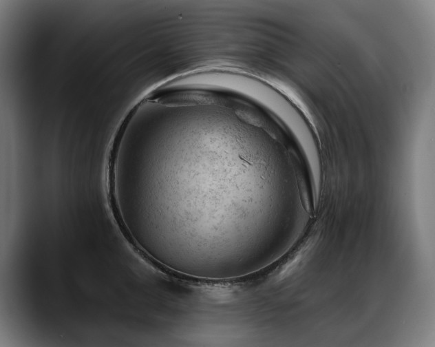 X0000088650999200705251458