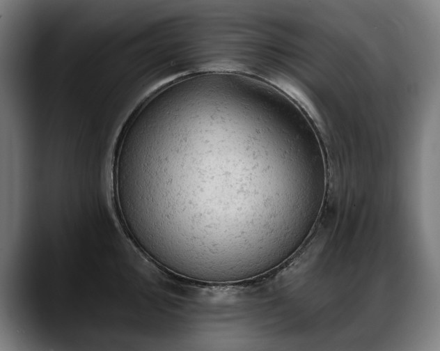 X0000088651000200705251458