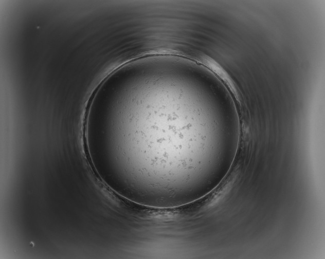 X0000088651002200705251458
