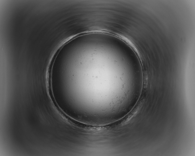 X0000088651003200705251458