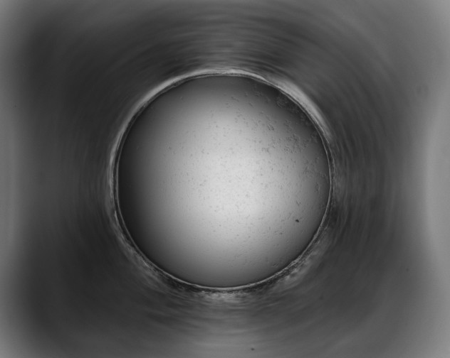 X0000088651004200705251458