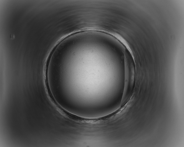 X0000088651005200705251458