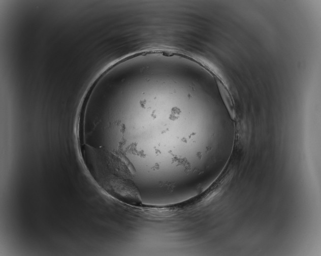 X0000088651007200705251458