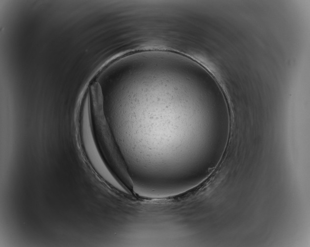 X0000088651008200705251458