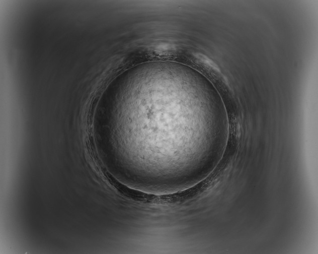X0000088651009200705251457