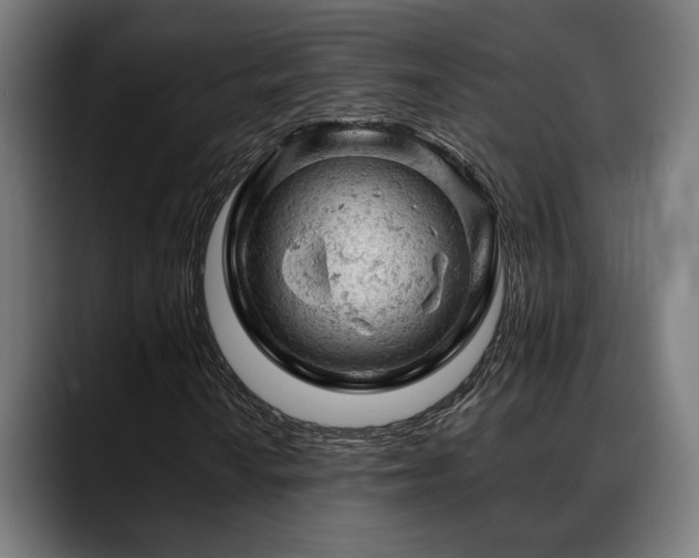 X0000088651010200705251457