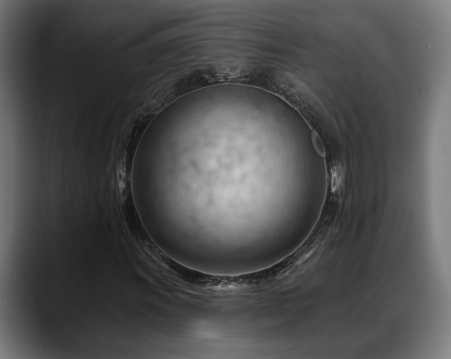 X0000088651011200705251457