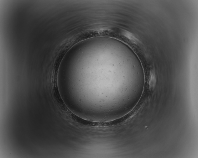 X0000088651014200705251457