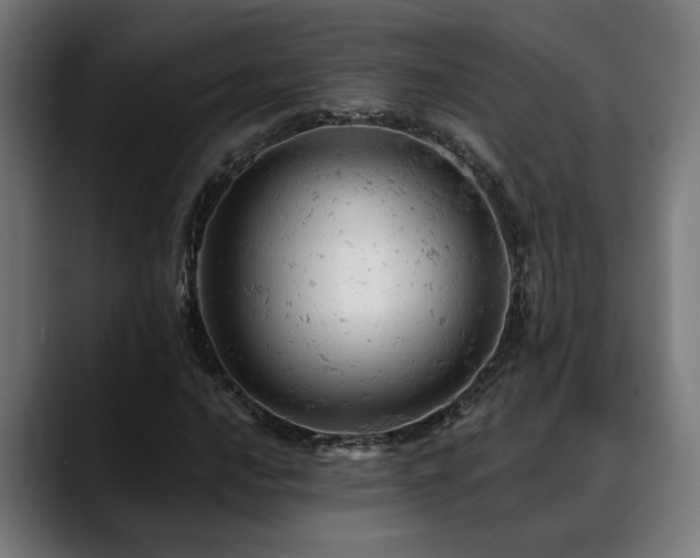 X0000088651016200705251457