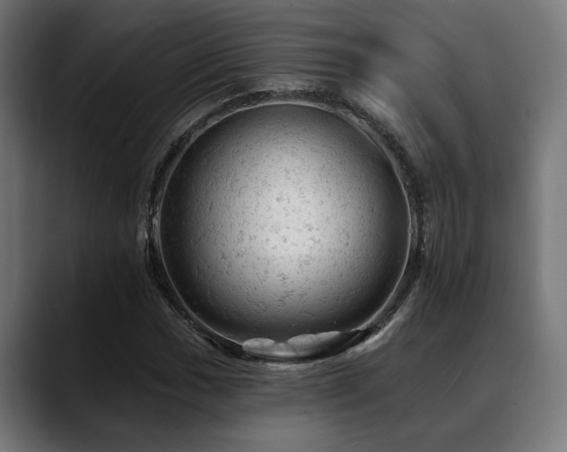 X0000088651017200705251457