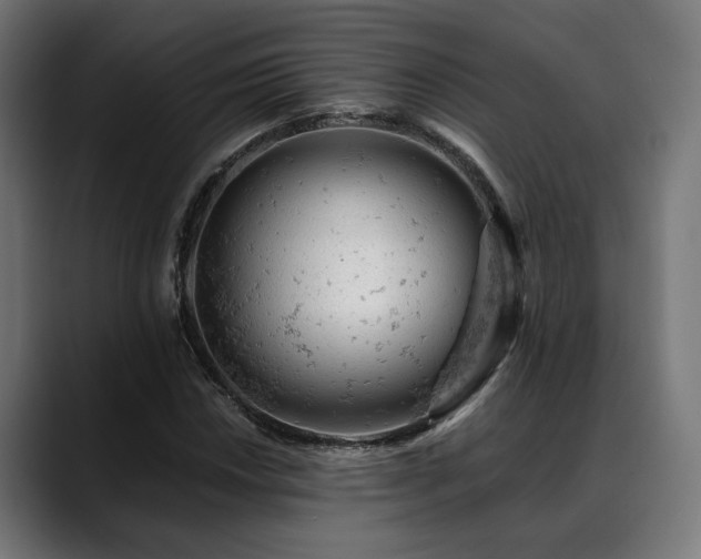 X0000088651018200705251457