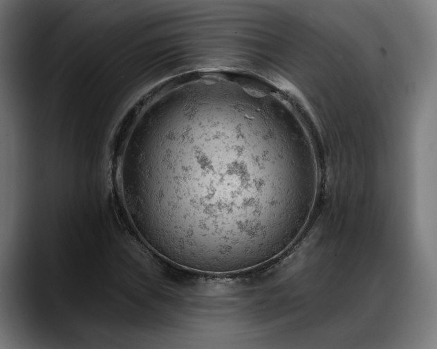 X0000088651019200705251457