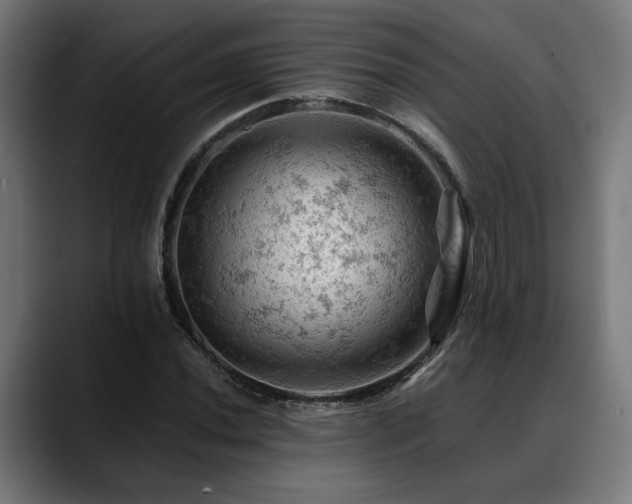 X0000088651020200705251457