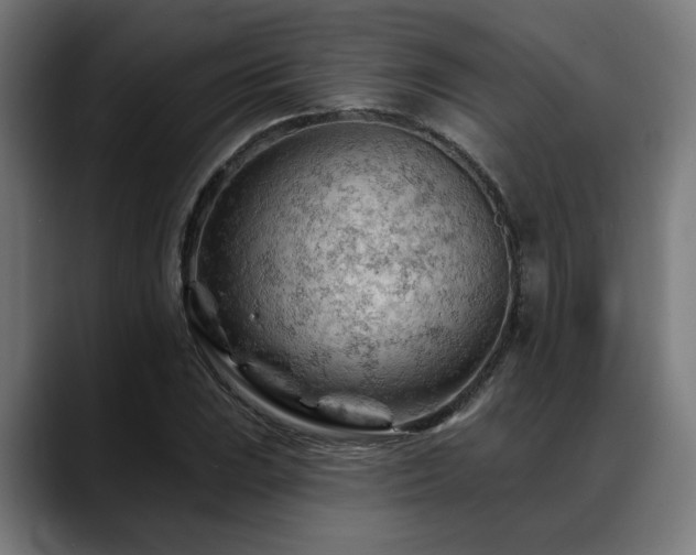 X0000088651023200705251457