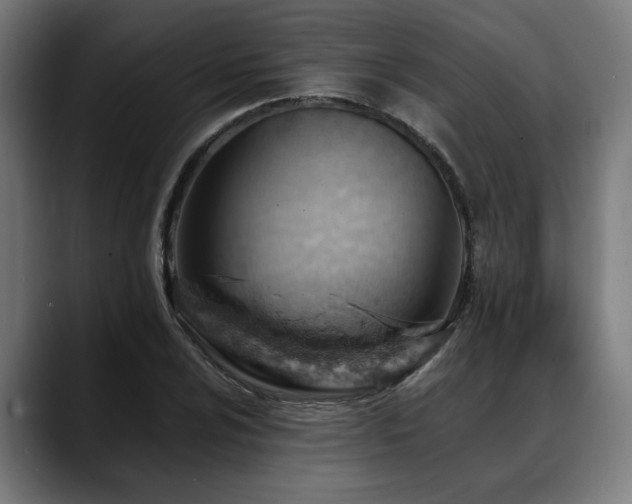 X0000088651024200705251457
