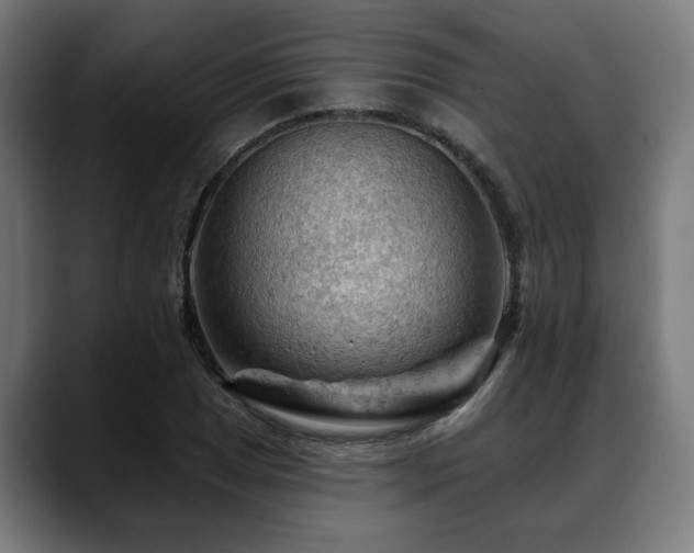 X0000088651025200705251457