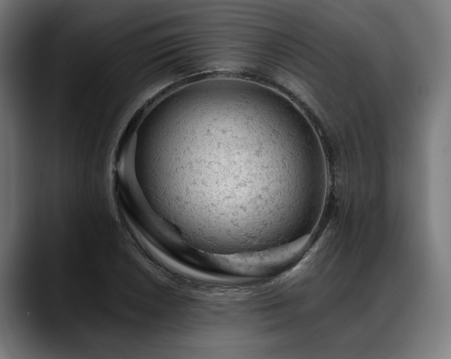 X0000088651026200705251457