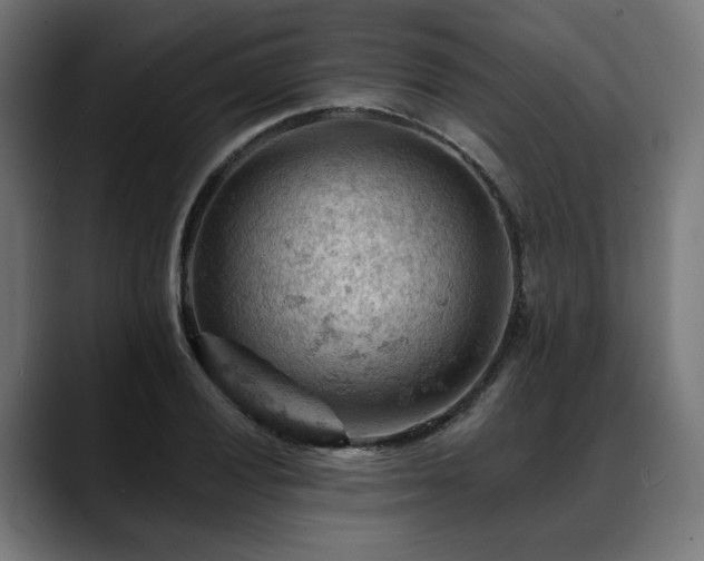 X0000088651028200705251457