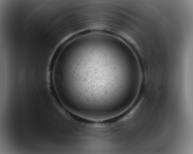 X0000088651029200705251457