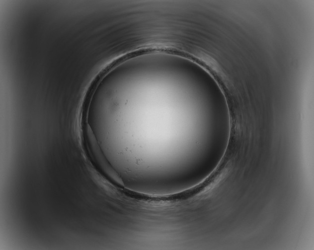 X0000088651030200705251457