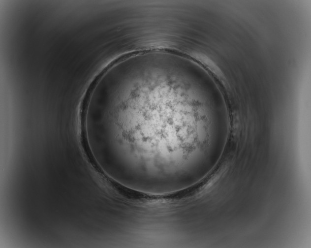 X0000088651031200705251457