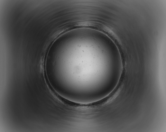 X0000088651033200705251457