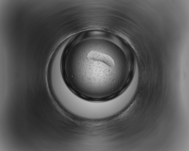 X0000088651034200705251457