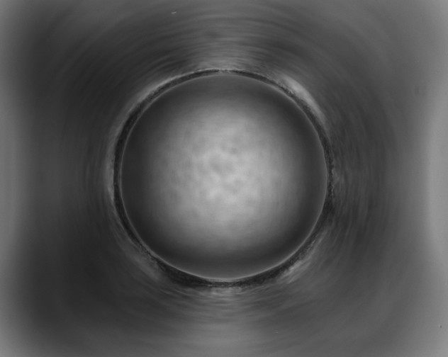 X0000088651035200705251457