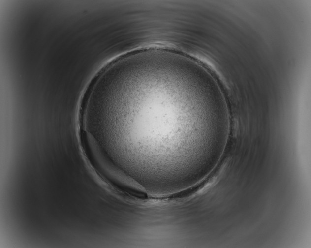 X0000088651038200705251457