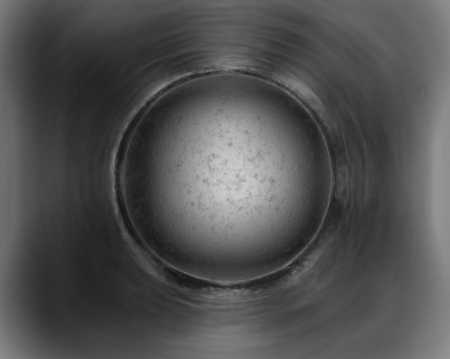 X0000088651039200705251457