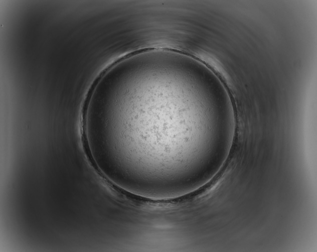 X0000088651040200705251457