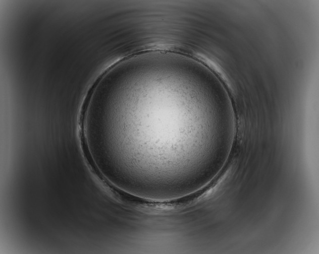 X0000088651042200705251457