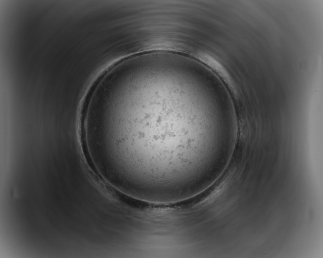 X0000088651043200705251457