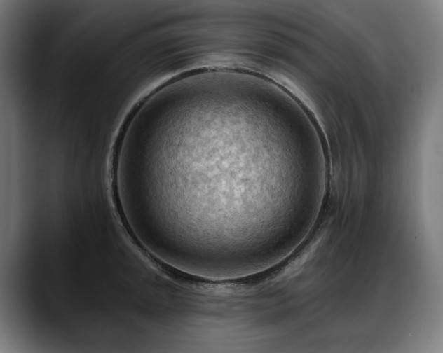 X0000088651045200705251457