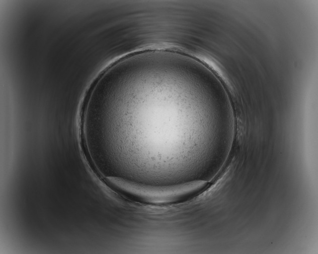 X0000088651046200705251457