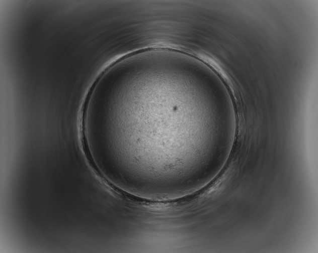 X0000088651048200705251458