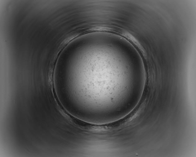 X0000088651049200705251458