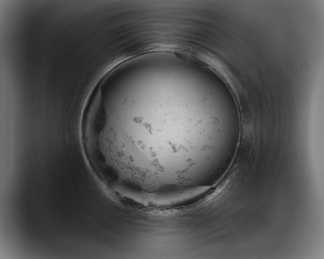 X0000088651050200705251458
