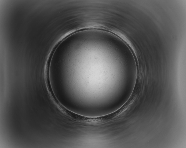 X0000088651053200705251458