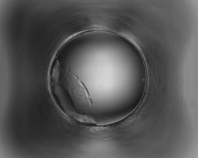 X0000088651056200705251458