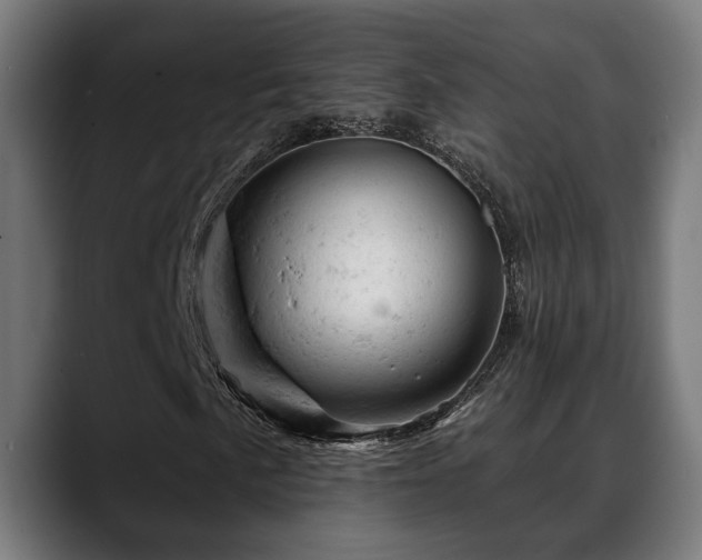 X0000088651057200705251457
