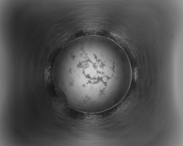 X0000088651059200705251457