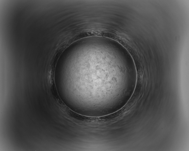 X0000088651060200705251457