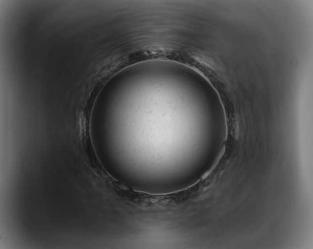 X0000088651061200705251457