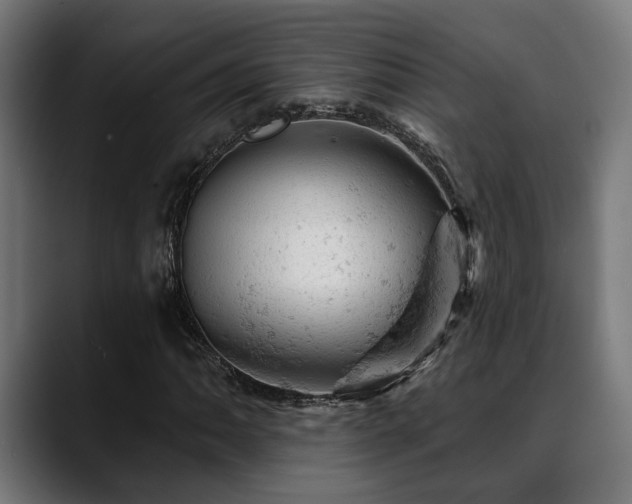 X0000088651062200705251457